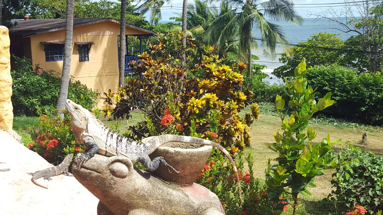 Hotel Los Mangos Montezuma Esterno foto